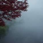 朝霧の中の紅葉