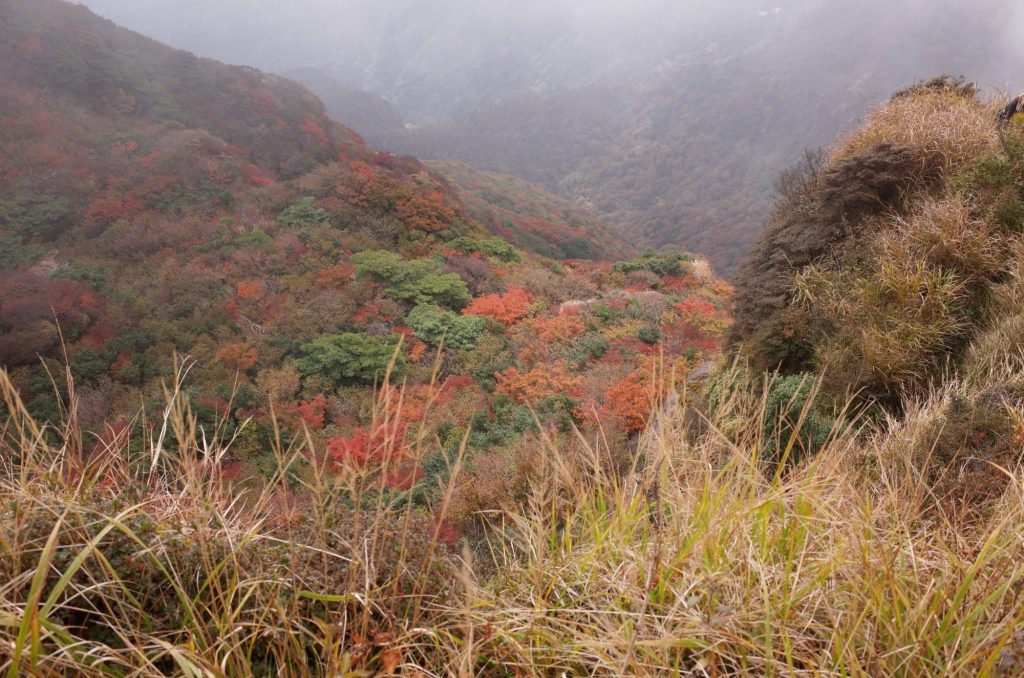 雲仙普賢岳から紅葉した山を見る