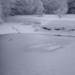 雪に覆われた池