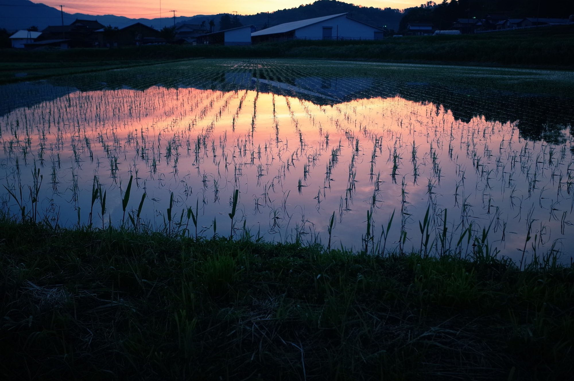 夕焼け通信