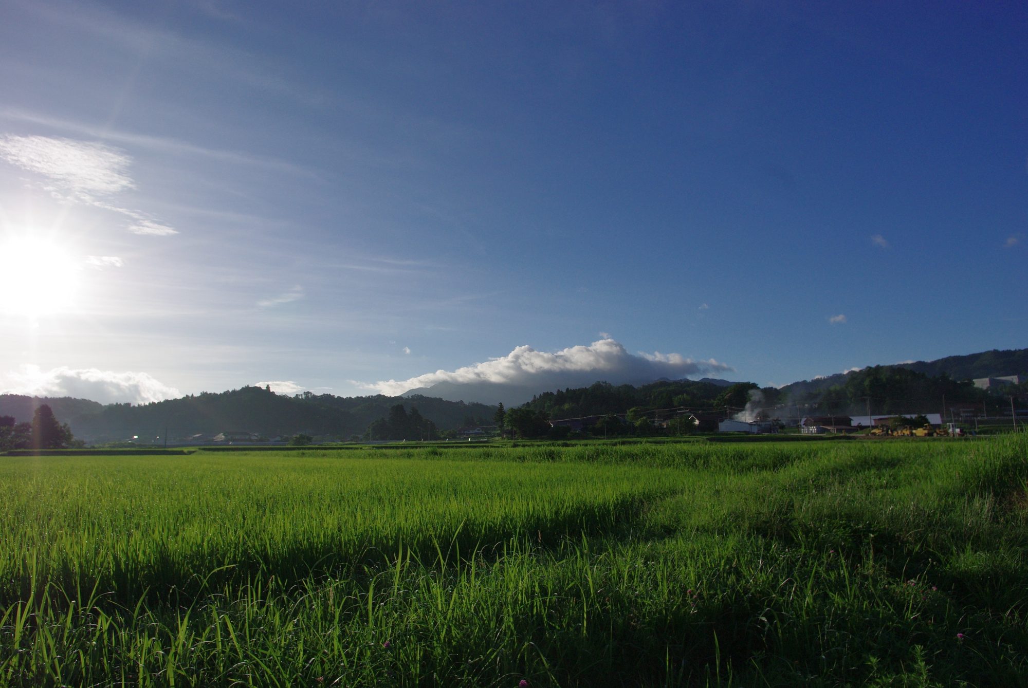 夕焼け通信